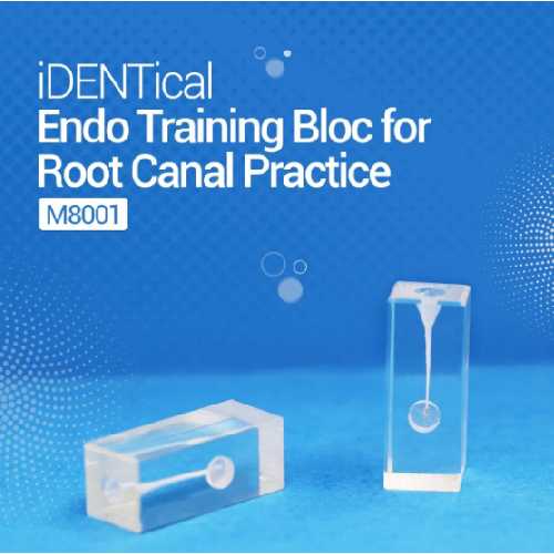 iDENTical Endo Training Bloc For Root Canal Practice - M8001 05