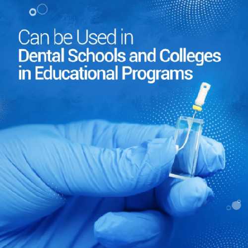 iDENTical Endo Training Bloc For Root Canal Practice - M8001 06
