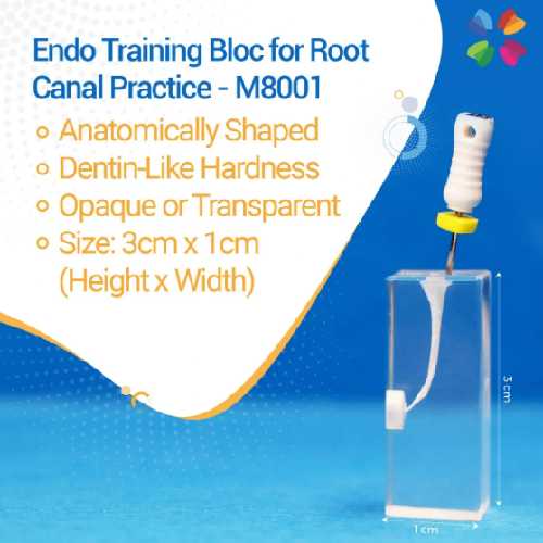 iDENTical Endo Training Bloc For Root Canal Practice - M8001 07